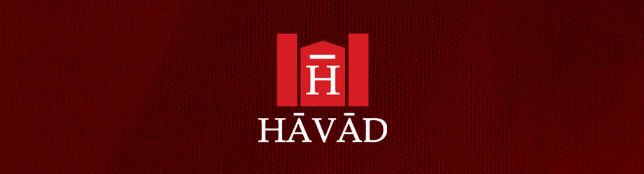 designer grafico - havad